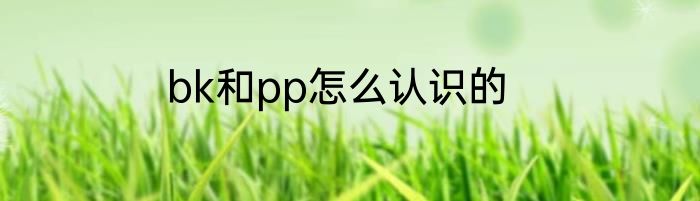 bk和pp怎么认识的