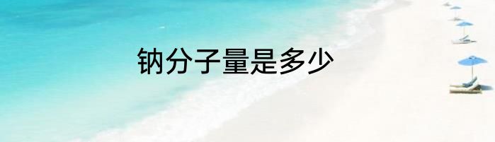 钠分子量是多少