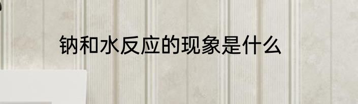 钠和水反应的现象是什么
