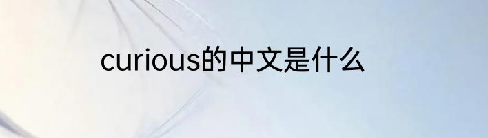 curious的中文是什么