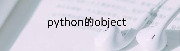 python的object