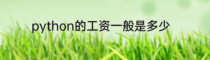 python的工资一般是多少
