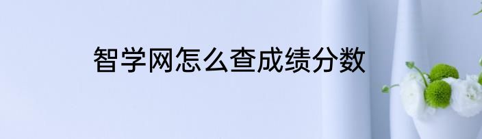 智学网怎么查成绩分数