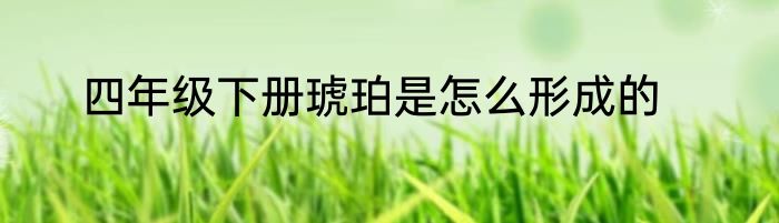 四年级下册琥珀是怎么形成的
