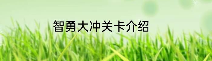 智勇大冲关卡介绍