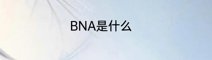 BNA是什么