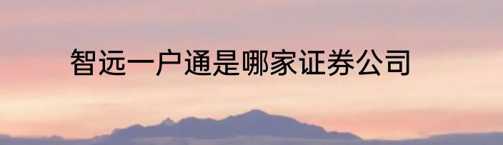 智远一户通是哪家证券公司