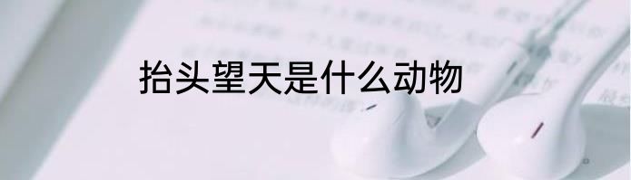 抬头望天是什么动物
