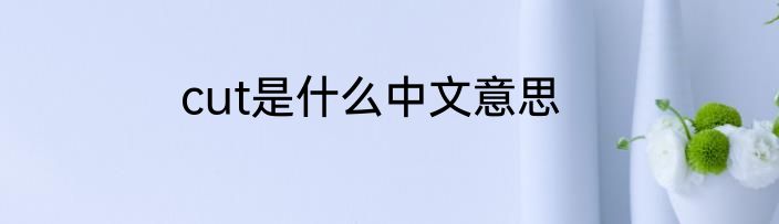 cut是什么中文意思