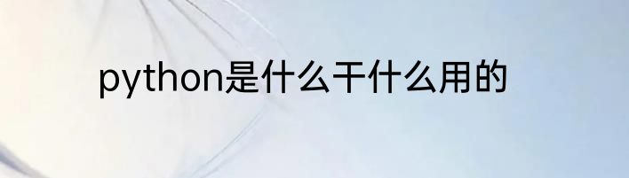 python是什么干什么用的