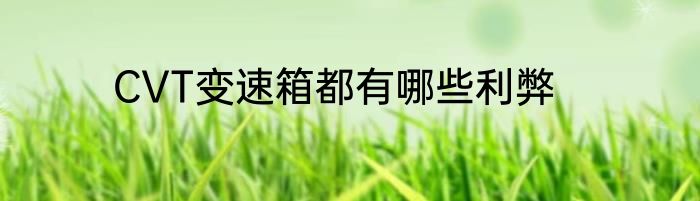 CVT变速箱都有哪些利弊