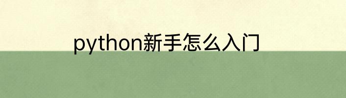 python新手怎么入门