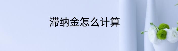 滞纳金怎么计算