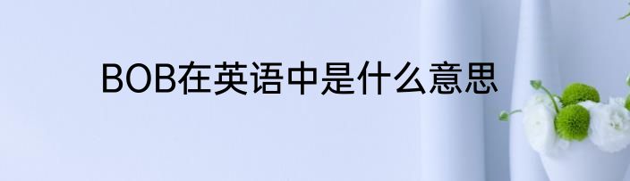 BOB在英语中是什么意思