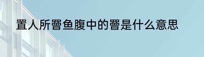 置人所罾鱼腹中的罾是什么意思