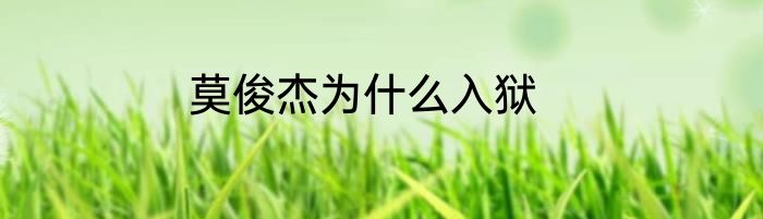 莫俊杰为什么入狱