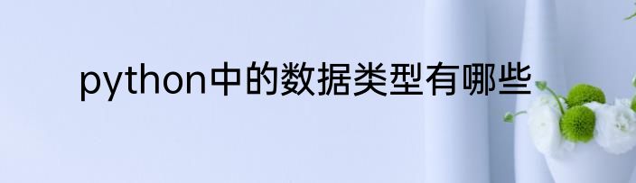 python中的数据类型有哪些
