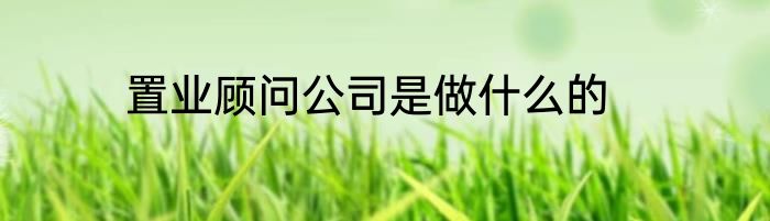 置业顾问公司是做什么的