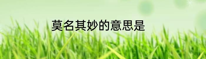 莫名其妙的意思是