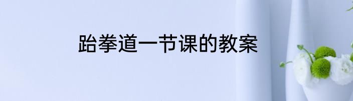 跆拳道一节课的教案