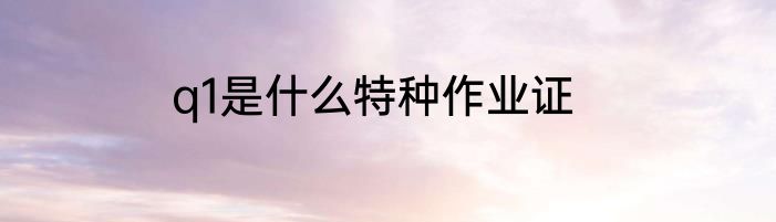 q1是什么特种作业证