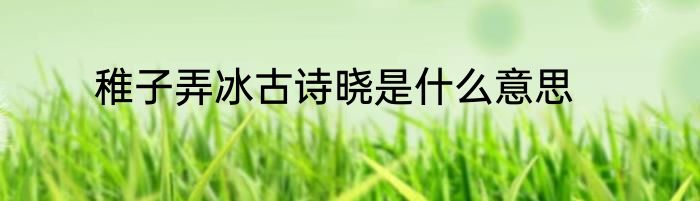 稚子弄冰古诗晓是什么意思