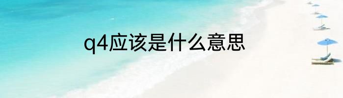 q4应该是什么意思