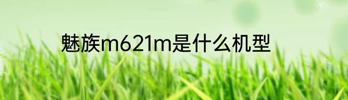 魅族m621m是什么机型