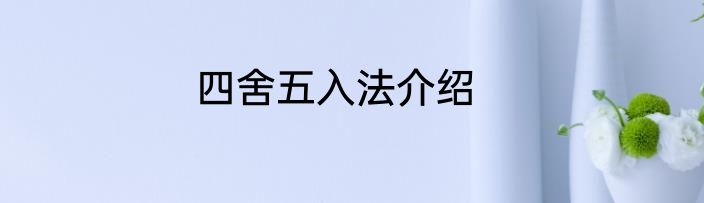 四舍五入法介绍