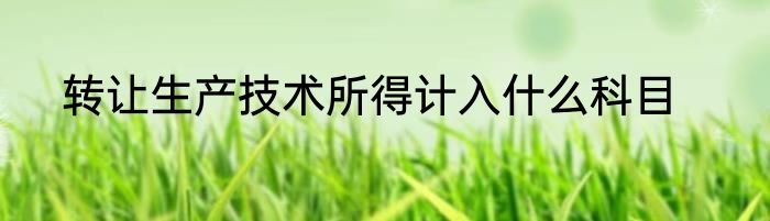 转让生产技术所得计入什么科目