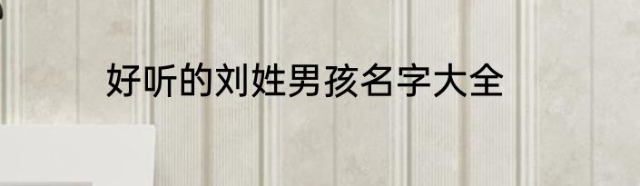好听的刘姓男孩名字大全