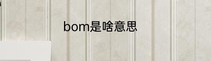 bom是啥意思