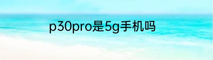 p30pro是5g手机吗