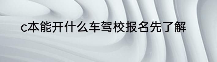 c本能开什么车驾校报名先了解