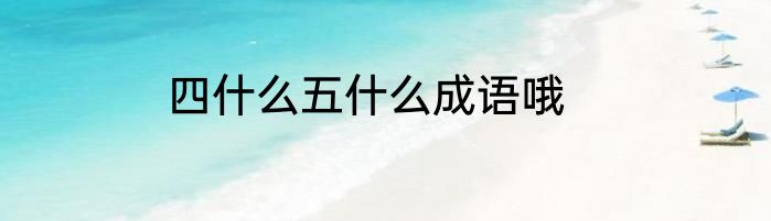 四什么五什么成语哦