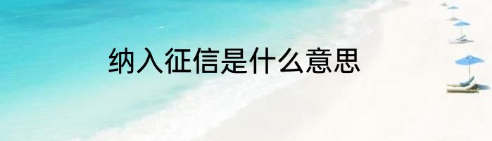 纳入征信是什么意思