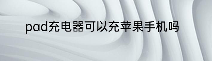 pad充电器可以充苹果手机吗