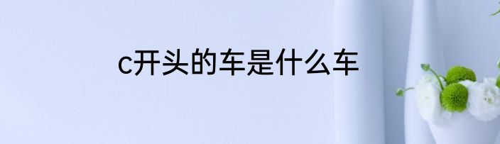 c开头的车是什么车