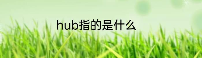 hub指的是什么