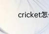 cricket怎么读cricket解释