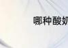 哪种酸奶发酵剂比较好