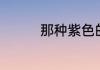 那种紫色的玉米叫什么名