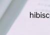 hibiscus茶是什么