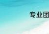 专业团是什么意思