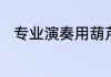 专业演奏用葫芦丝什么牌子的最好
