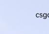 csgo怎么换手