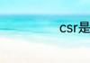 csr是什么意思啊