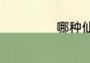 哪种仙人掌不能吃