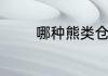 哪种熊类仓鼠最好养最温顺
