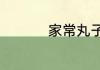 家常丸子粉丝汤的做法